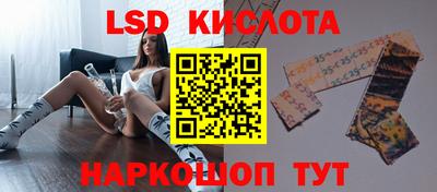 винт Шелехов