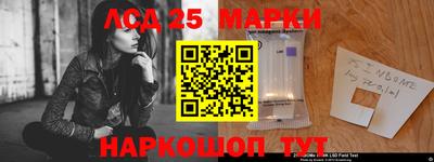 винт Шелехов