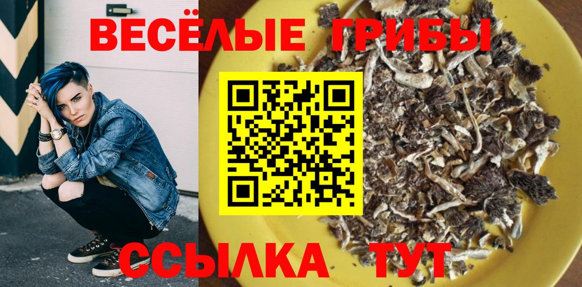 Галлюциногенные грибы Cubensis  Вход с VPN  Белогорск  Галлюциногенные грибы Cubensis 