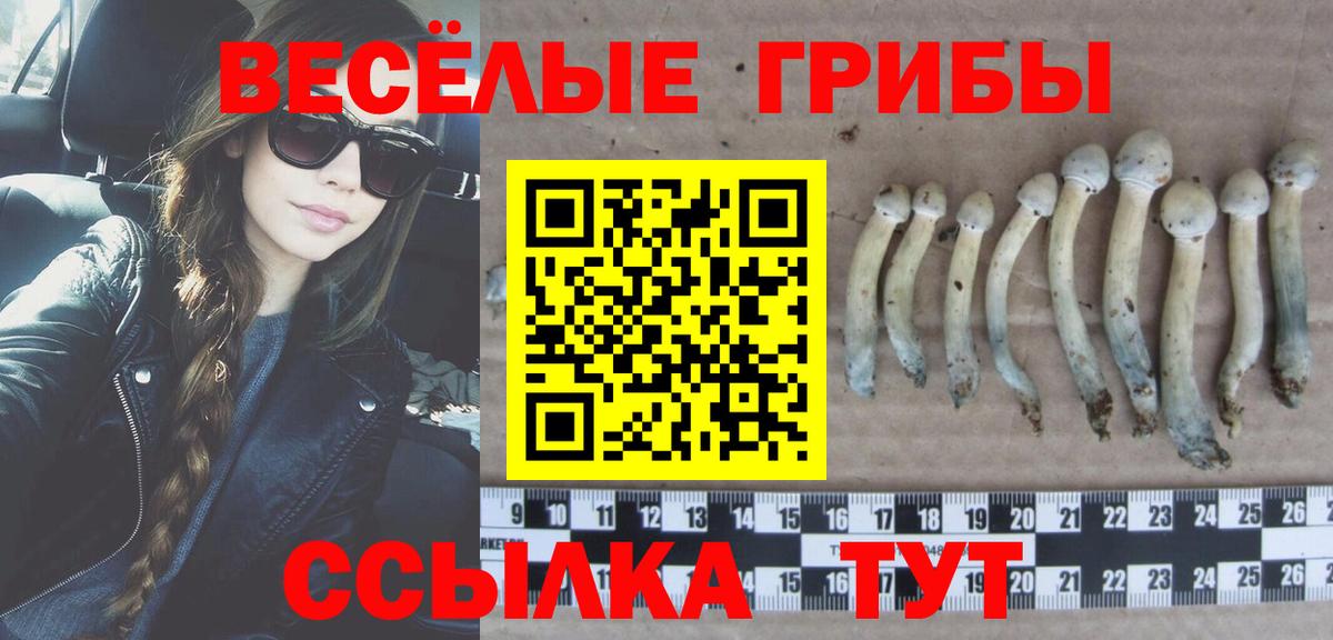 Псилоцибиновые грибы Magic Shrooms Белогорск